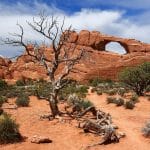 Desert solitaire : Edward Abbey was park ranger at Arches National Monument in the late 1950s
