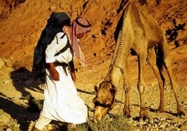 Sinai desert: Bedouin