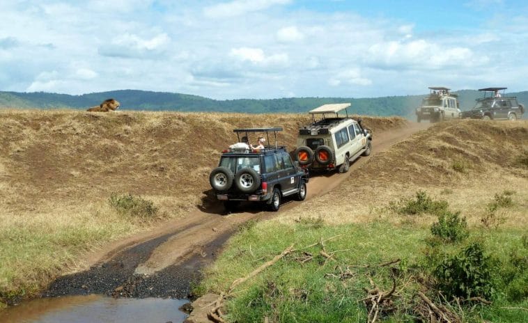 Tanzania safari tour