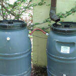 Rainwater barell in aride areas