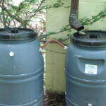 Rainwater barell in aride areas