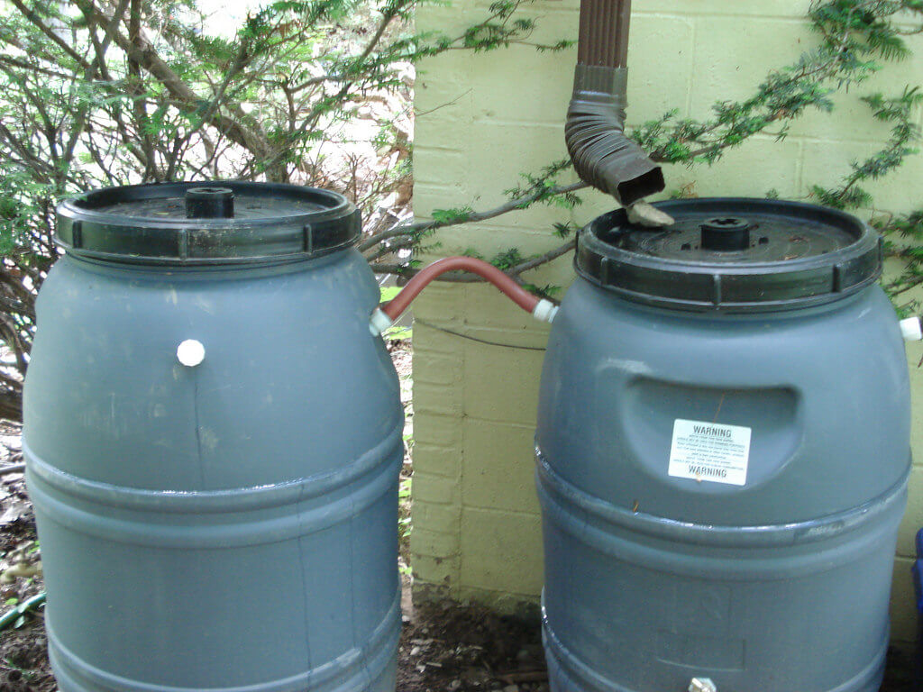 Rainwater barell in aride areas