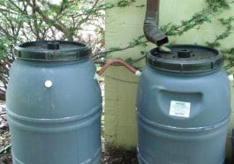 Rainwater barell in aride areas