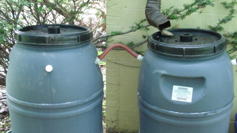 Rainwater barell in aride areas