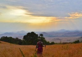Desert of Africa