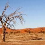 Kalahari desert - South Africa