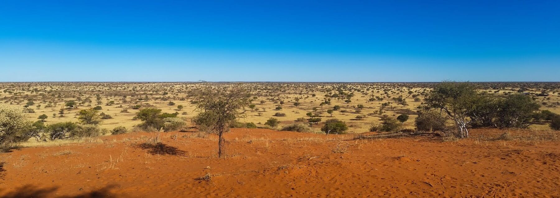 Photo :Kalahari desert -South Africa