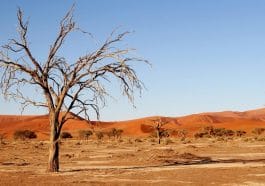 Kalahari desert - South Africa