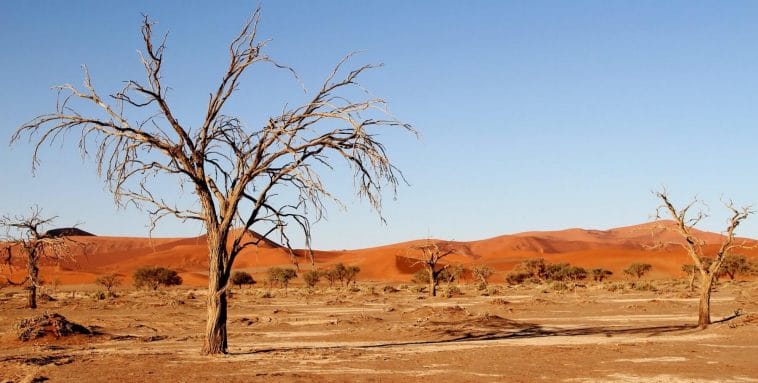 Kalahari desert - South Africa