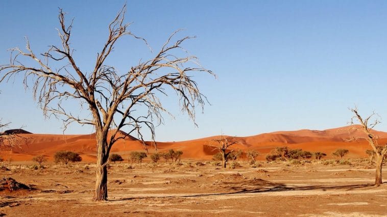 Kalahari desert - South Africa