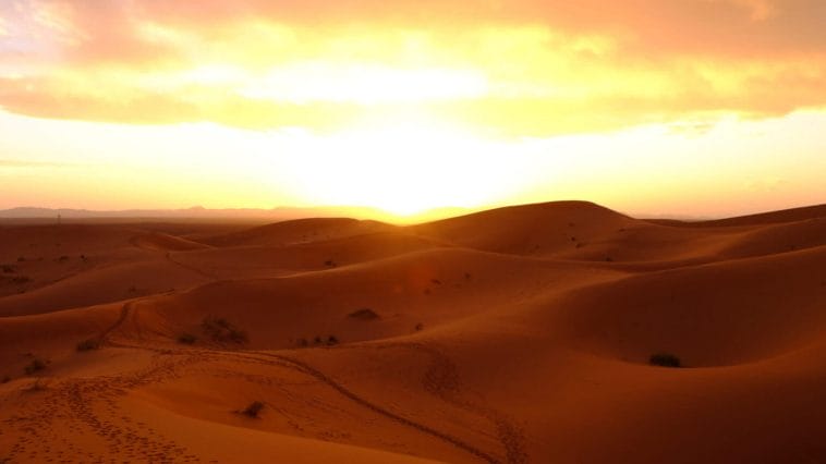 Morroco desert