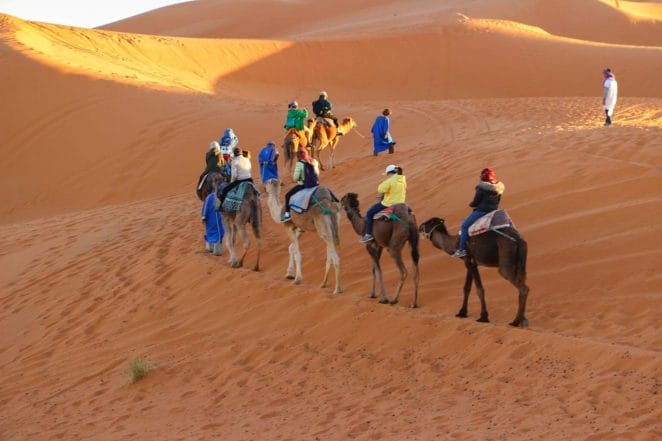 Camel caravane ,Tunisia Sahara