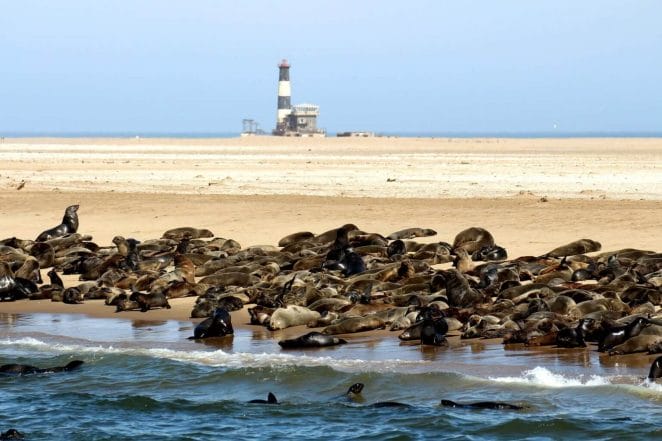 WALVIS Bay -Namibia