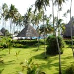 Zanzibar Iceland - Tanzania