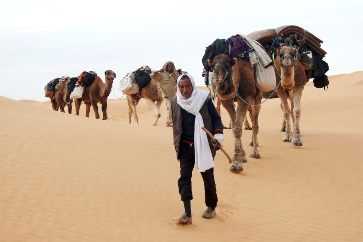 Berber man with his caravane in tunisian desert