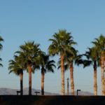 Palm desert: Valley of death,California