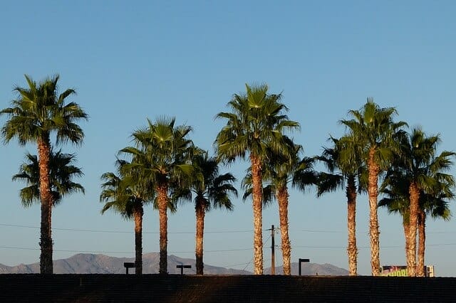 Palm desert: Valley of death,California