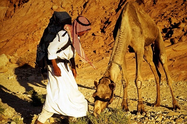Sinai desert: Bedouin