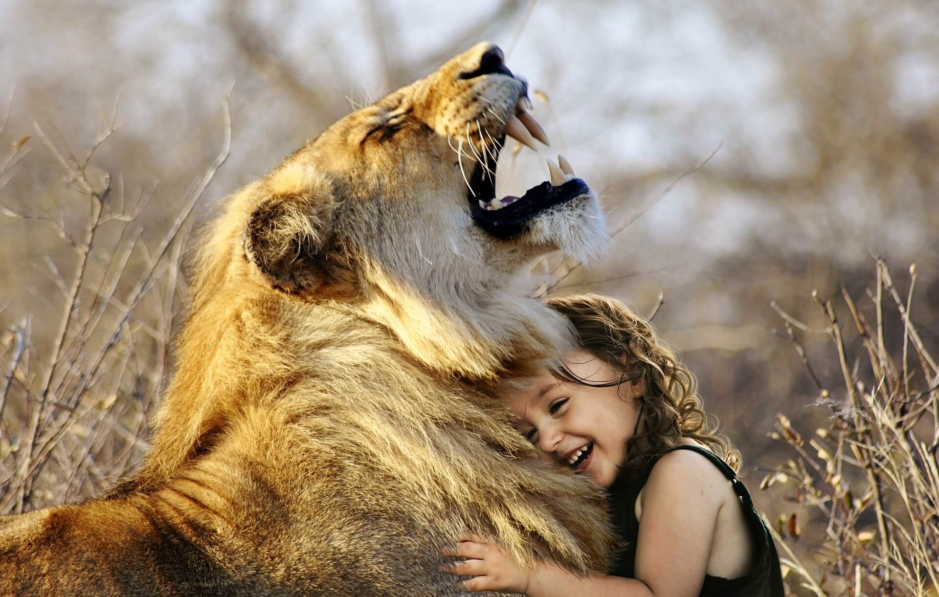 African safari trips girl with lion