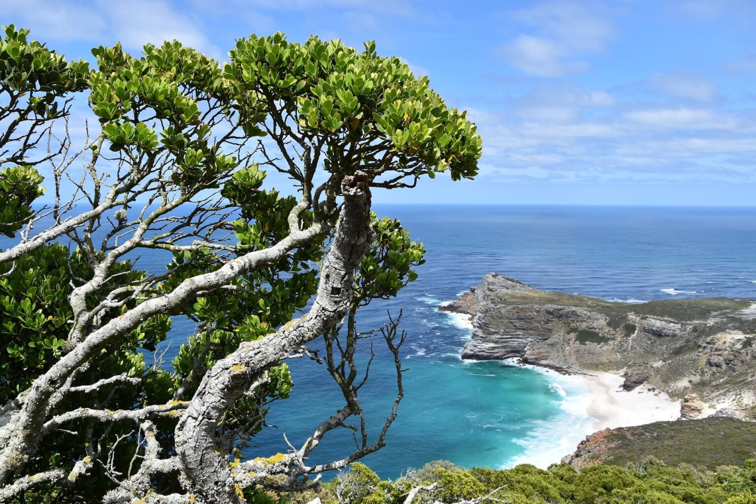 Cape Town in South Africa