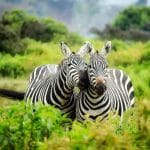 10 things not do on your visit to Kenya