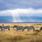 Kenya Destinations