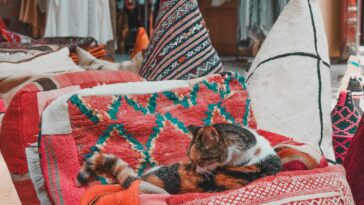 Photo medina in marrakech morocco