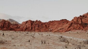 Photo agafay desert morocco