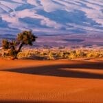 Photo all inclusive morocco