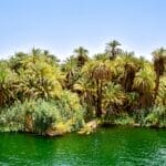 Photo egypt vacation