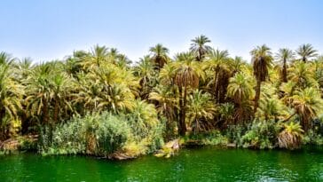 Photo egypt vacation