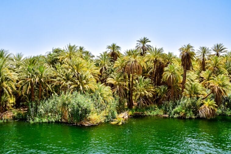 Photo egypt vacation