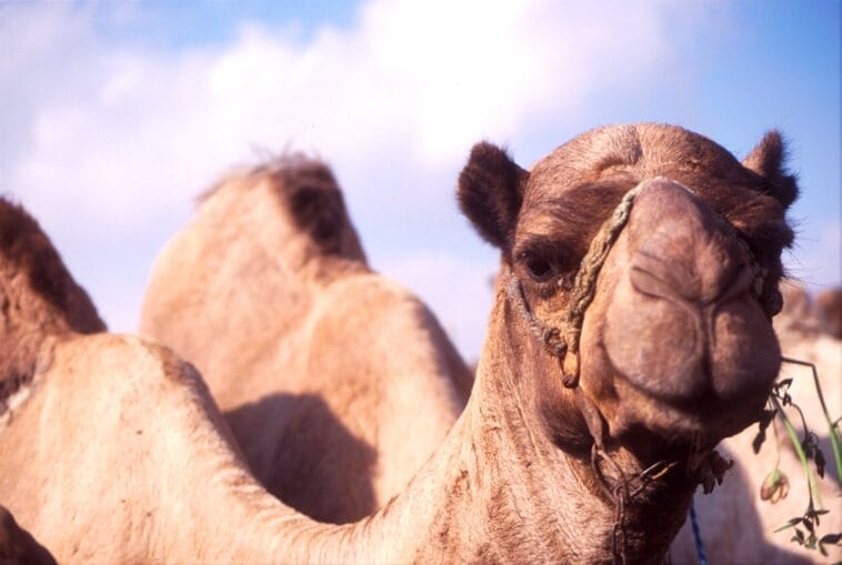 Photo egypt 10 day itinerary