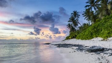 Photo morocco beach resort