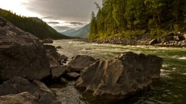 Photo nile river information