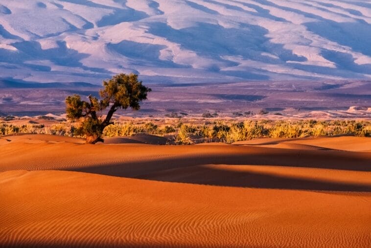Photo morocco tourist attractions