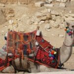 Photo pyramids of giza tour