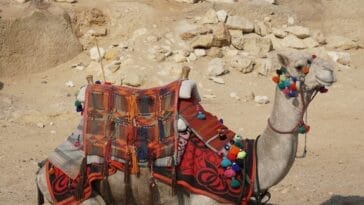 Photo pyramids of giza tour