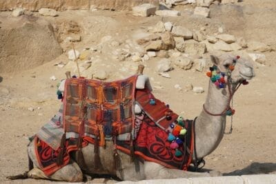 Photo pyramids of giza tour