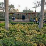 Photo nile river cruise from cairo