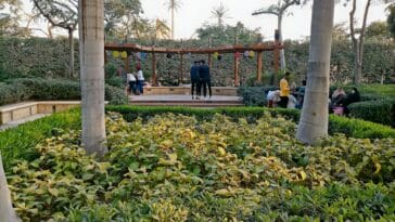 Photo nile river cruise from cairo