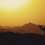 Photo egypt hieroglyphics