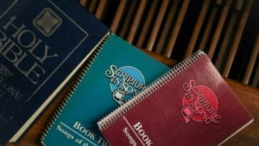 Photo the sphinx geelong