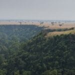 Photo Savannah landscape