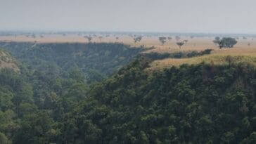 Photo Savannah landscape