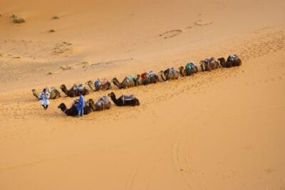 Photo Camel caravan