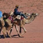 Photo Camel caravan