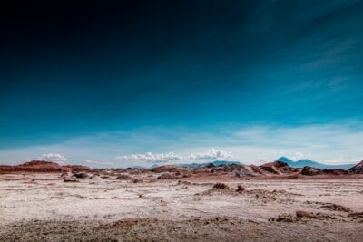 Photo Cactus landscape