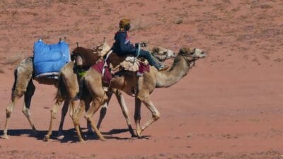 Photo Camel caravan