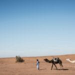 Photo Camel caravan